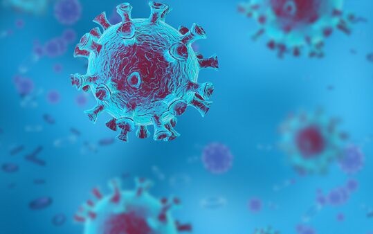  世卫组织正式通报新冠病毒四种变体情况