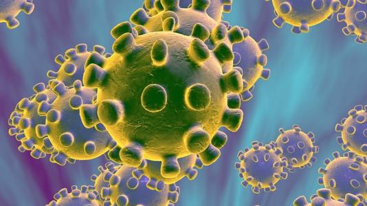 新型冠状病毒在环境中的存活潜力和感染风险