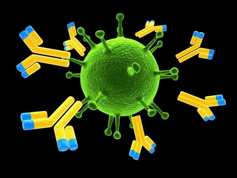 牛年红 | 中国学者连发4篇Cell，南华大学等单位首次发现部分新冠病毒变体对单克隆抗体具有耐受性