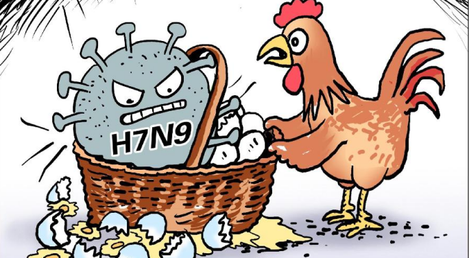 西媒：禽流感恐成下一场全球大流行病