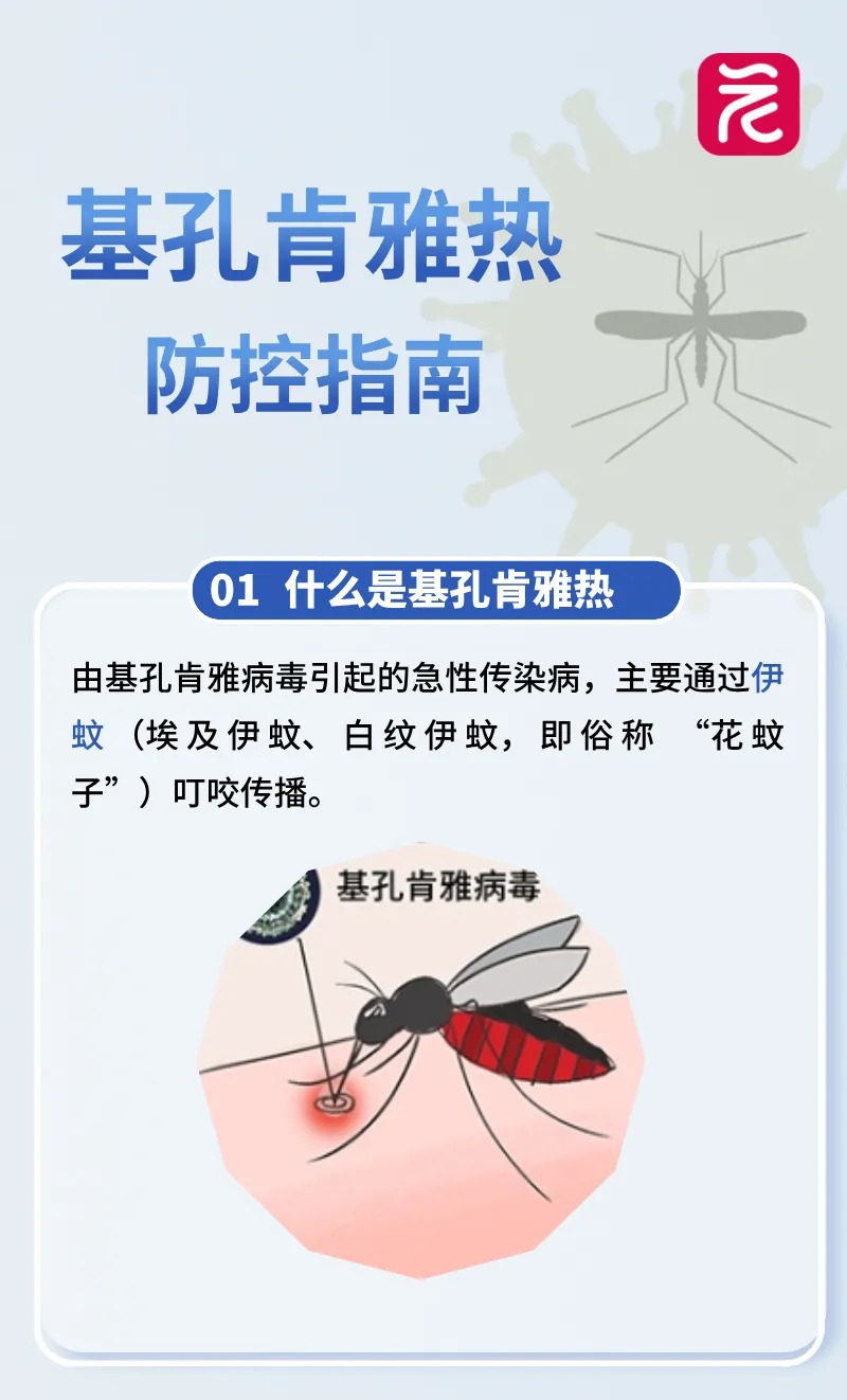 16a5ad9036b1e28077f4913af56c204c.png