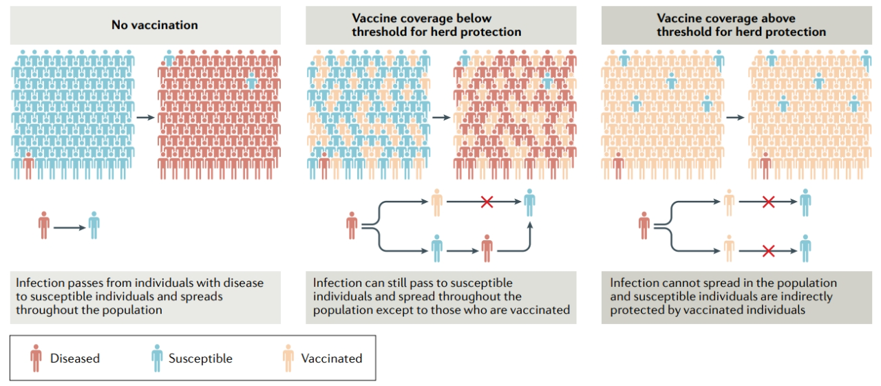 疫苗与免疫学